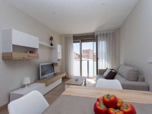 Apartamentos Valencia Valencia 101821947