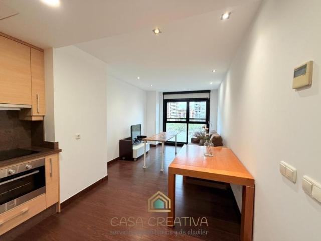 Apartamentos Valencia Valencia 103178973