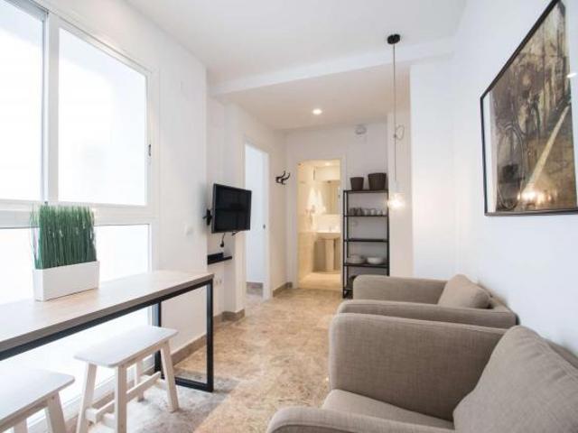 Apartamentos Valencia Valencia 85314892
