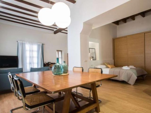 Apartamentos Valencia Valencia 85314921