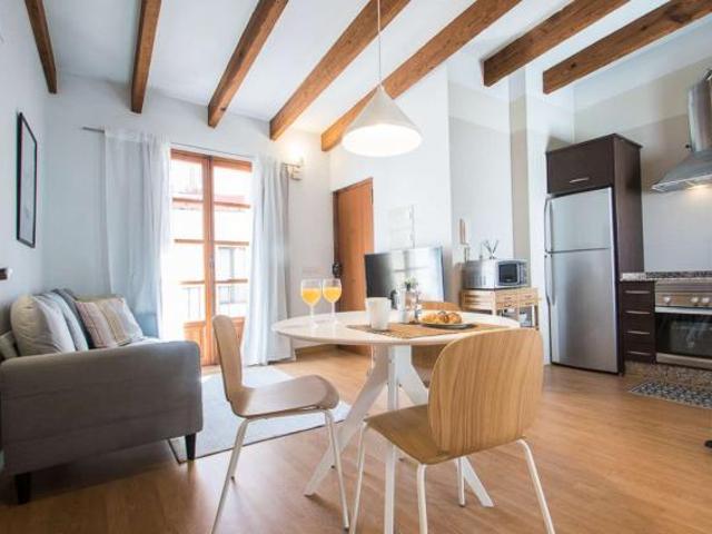 Apartamentos Valencia Valencia 85314924