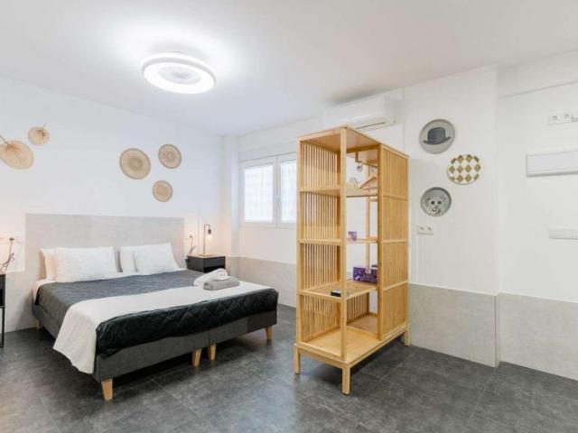 Apartamentos Valencia Valencia 97607812