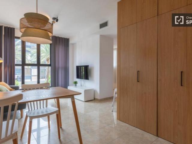 Apartamentos Valencia Valencia ES101692464