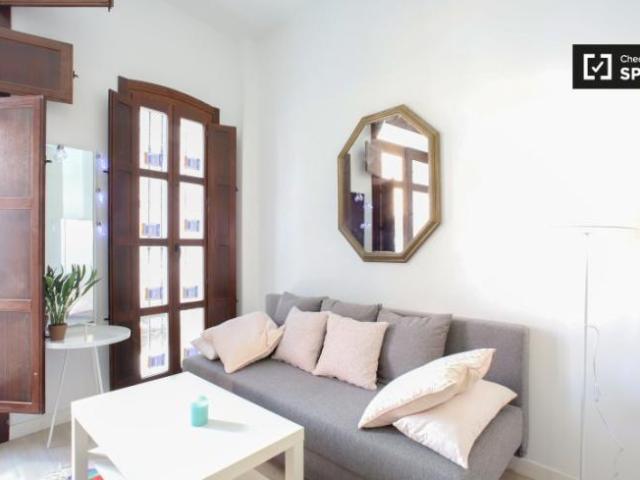 Apartamentos Valencia Valencia ES101818181