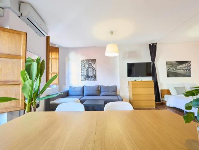 Apartamentos Valencia Valencia ES101838777