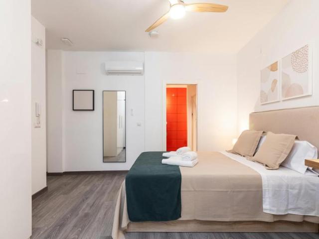 Apartamentos Valencia Valencia ES102400028