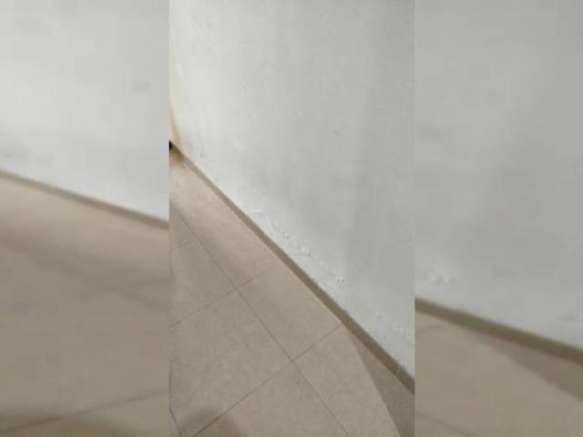 Apartamentos Valencia Valencia ES103094218