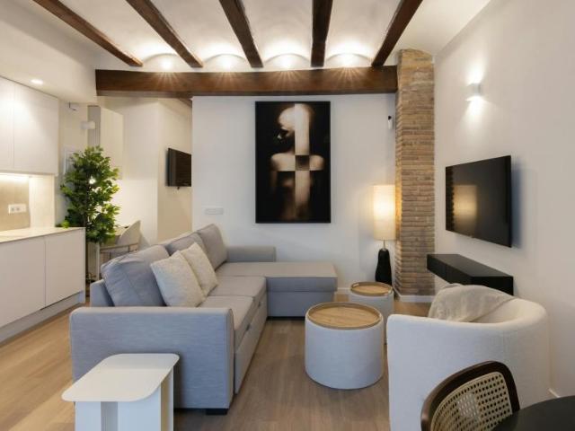 Apartamentos Valencia Valencia LS100717954