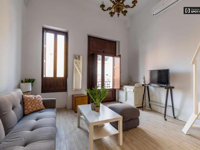 Apartamentos Valencia Valencia LS101671057