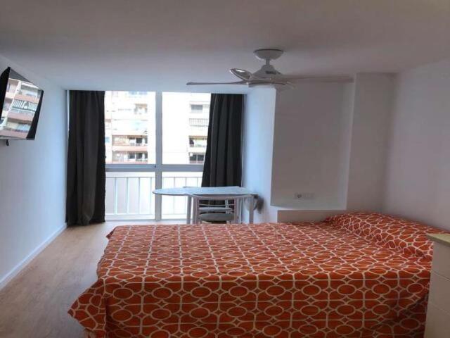 Apartamentos Valencia Valencia LS101737970