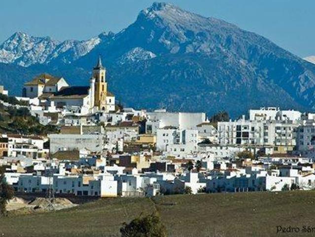 Apartamentos Villamartin Cádiz 99411371