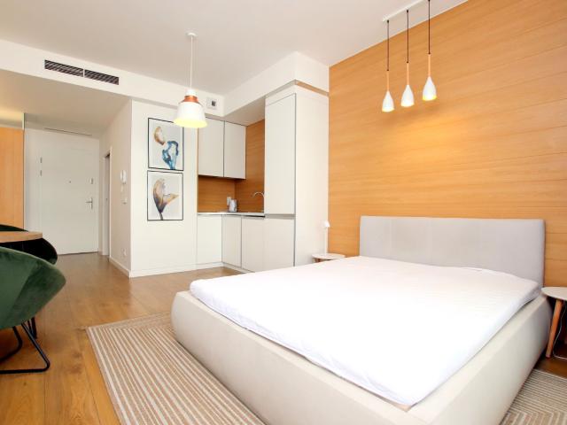 Apartamentowiec ovo, Dla managera, studenta, Wrocław, Stare Miasto