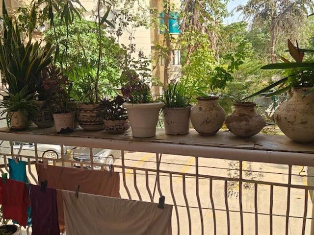 Apex Apartments 3 Bedroom 2200 Sq. Ft. Apartment in Sector 45 Gurgaon Listing ID: #10164