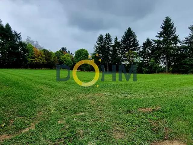 Apinac 42550 Achat / Vente terrain