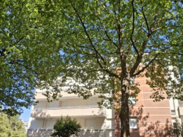Appt F4 84 m² 3 logements, meublé et lumineux à louer aux 3 étudiant e s proche Campus