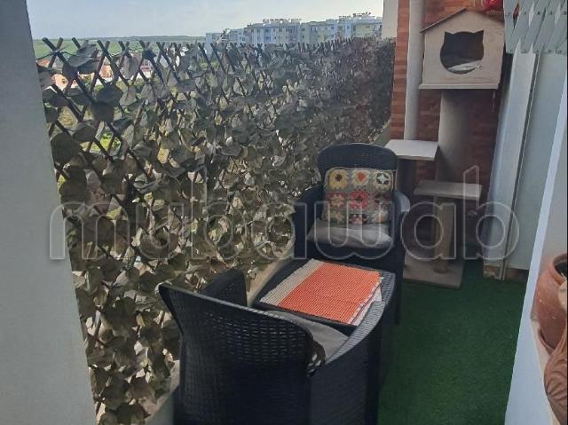 Apparemment à vendre à Tamesna