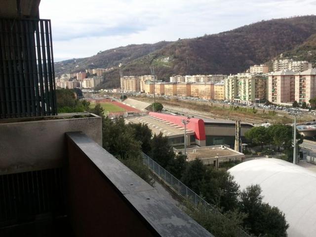 APPART. ADIACENTE C. POLISPORTIVO 'SCIORBA'ZONA MOLASSANA + P. AUTO