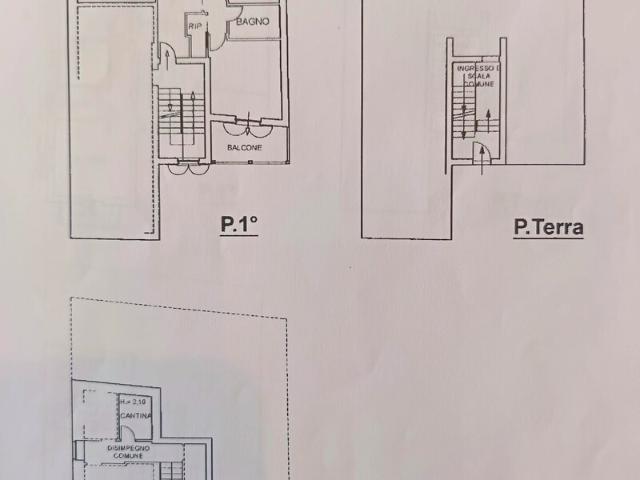 Appartamento 1°P Sogg/Cucina, 2 Camere Matrimoniali, 1Bagno con Terrazzo e 3 balconi, Cantina e P.Auto
