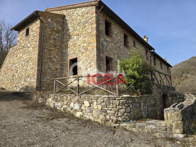 Appartamento con giardino a Castellina in Chianti