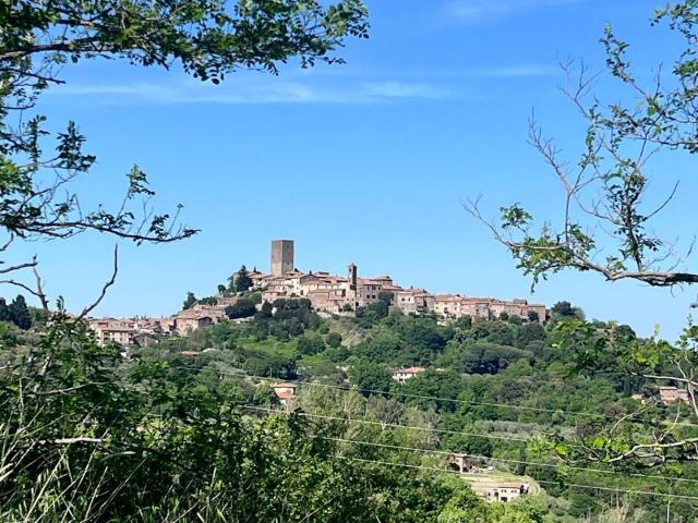 Appartamento con giardino a Montecatini Val di Cecina
