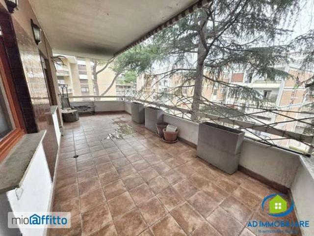 Appartamento con terrazzo Nuovo salario, prati fiscali, monte sacro, talenti, vigne nuove, serpentara