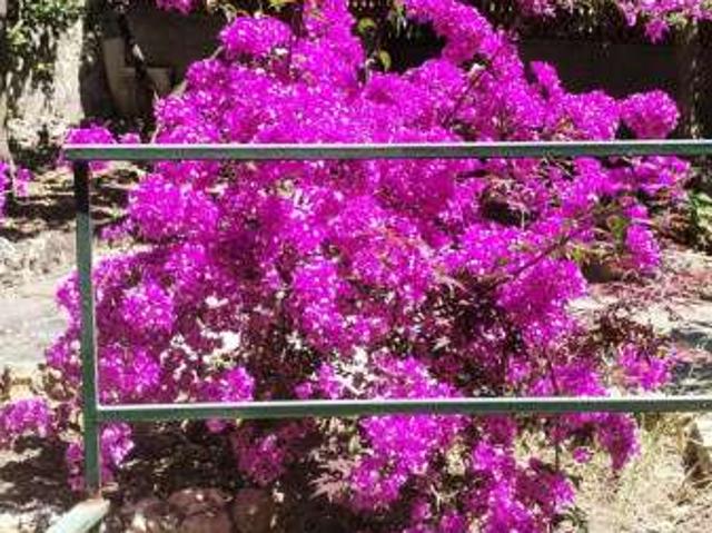 Appartamento con terrazzo Genova