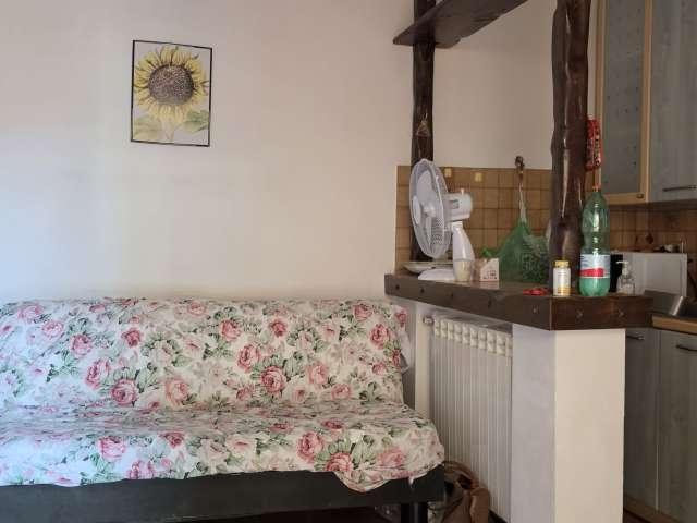 Appartamento con una camera da letto in affitto a Ladispoli, Roma