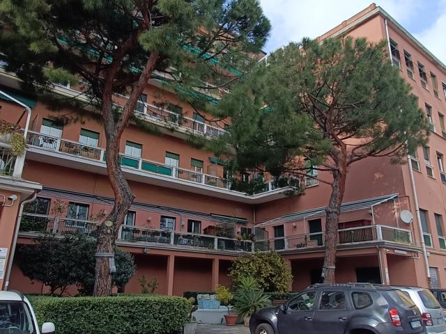 Appartamento con 1 camera da letto in affitto