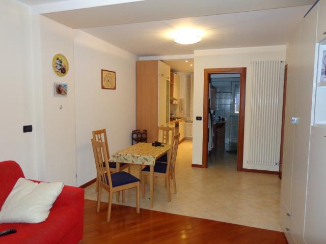 Appartamento con 1 camera da letto in affitto