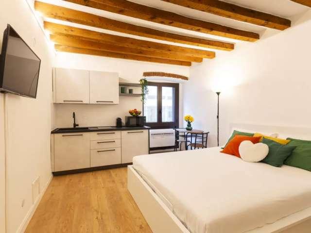Appartamento con 1 camera da letto in affitto a Tortona, Milano