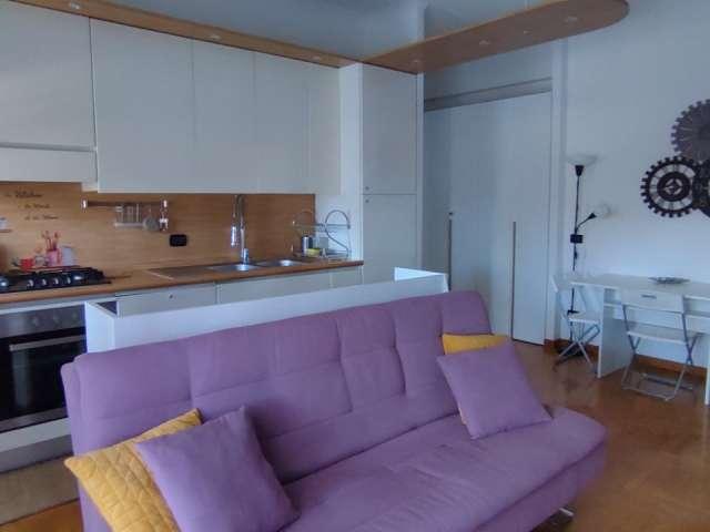 Appartamento con 1 camera da letto in affitto a Torrino, Roma