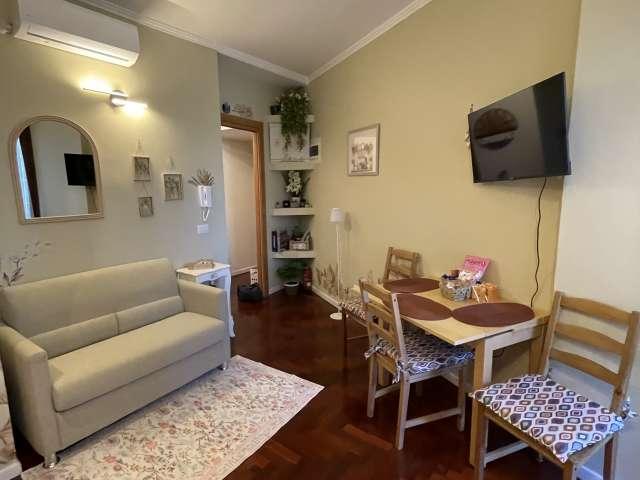 Appartamento con 1 camera da letto in affitto a Tuscolano Sud, Roma