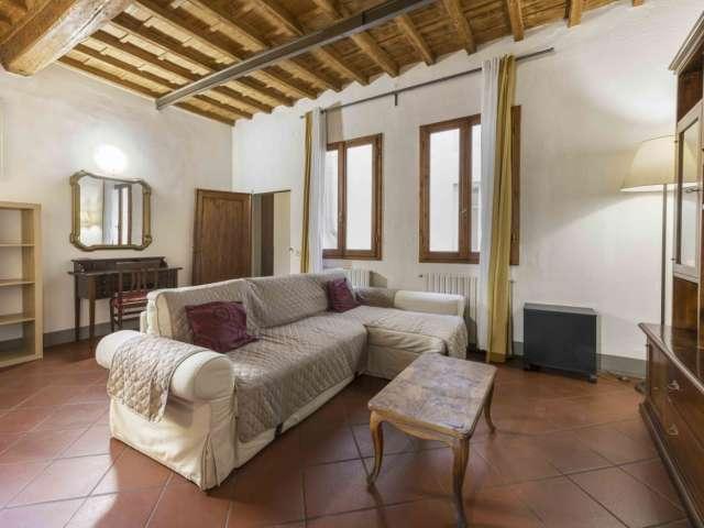Appartamento con 1 camera da letto in affitto a Firenze, Firenze