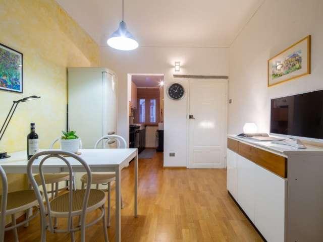 Appartamento con 1 camera da letto in affitto a Firenze