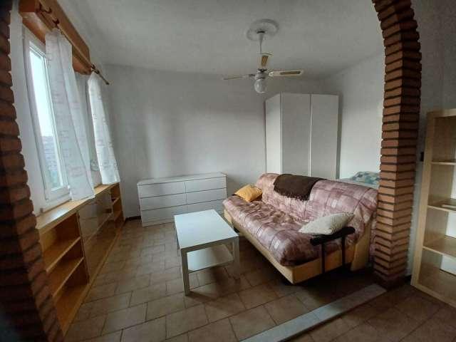 Appartamento con 1 camera da letto in affitto a Milano