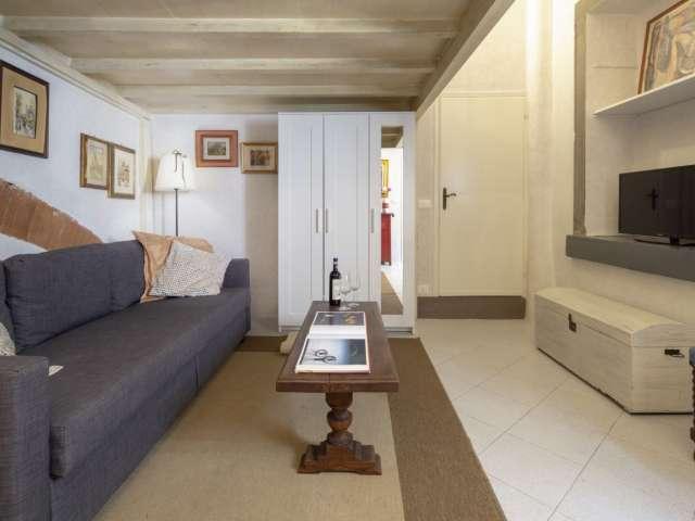 Appartamento con 1 camera da letto in affitto a Oltrarno San Frediano