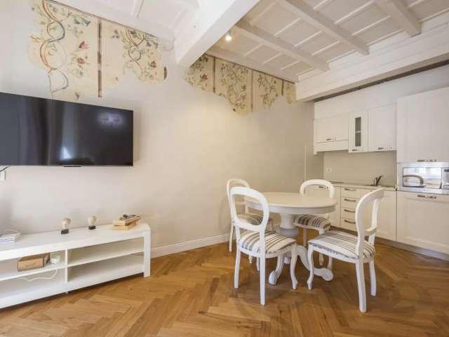 Appartamento con 1 camera da letto in affitto a Oltrarno San Frediano