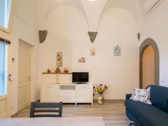Appartamento con 1 camera da letto in affitto a Oltrarno San Frediano