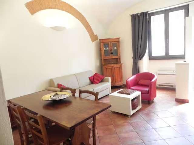 Appartamento con 1 camera da letto in affitto a Oltrarno San Frediano