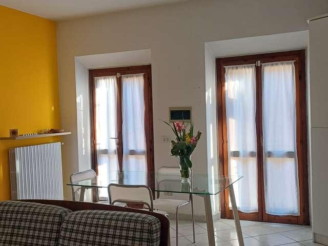 Appartamento con 1 camera da letto in affitto a Pavia