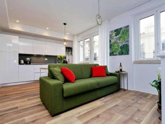 Appartamento con 1 camera da letto in affitto a Roma