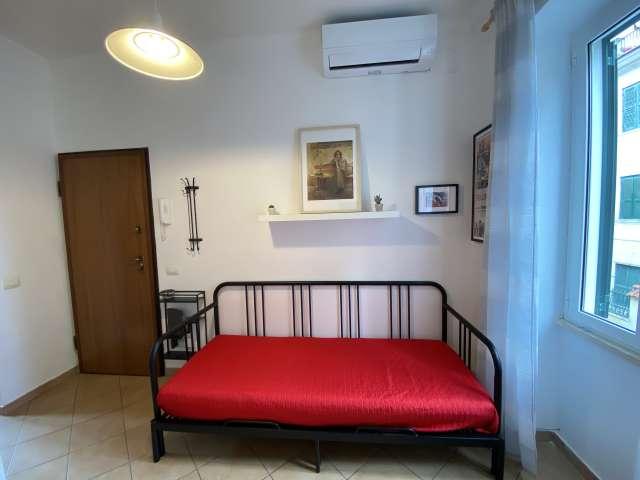 Appartamento con 1 camera da letto in affitto a Roma