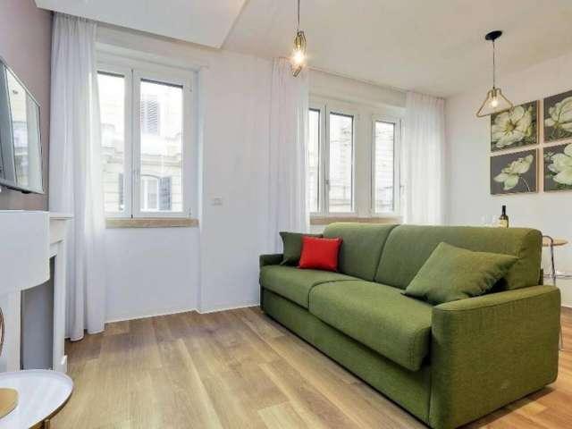 Appartamento con 1 camera da letto in affitto a Roma