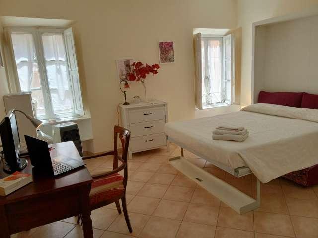 Appartamento con 1 camera da letto in affitto a Roma