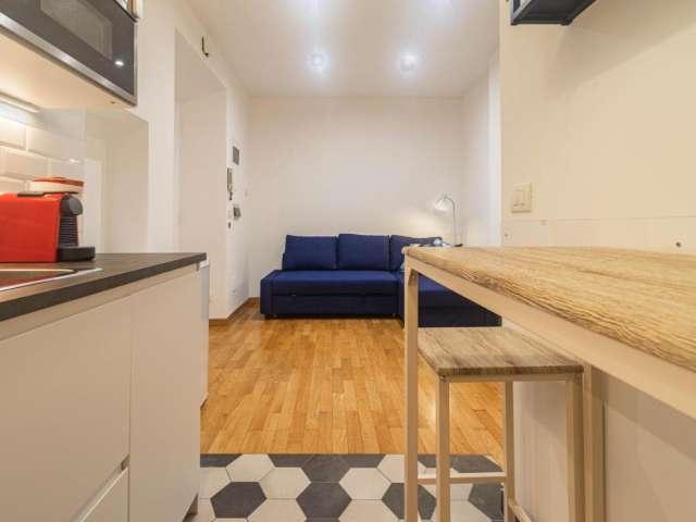 Appartamento con 1 camera da letto in affitto a Roma