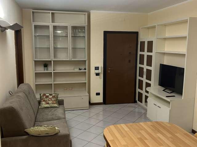 Appartamento con 1 camera da letto in affitto a Santa Viola, Bologna