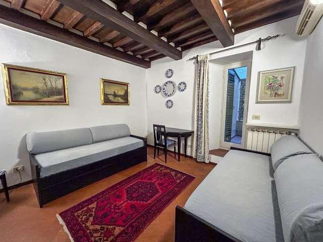 Appartamento con 1 camera da letto in affitto a Santa Croce, Firenze