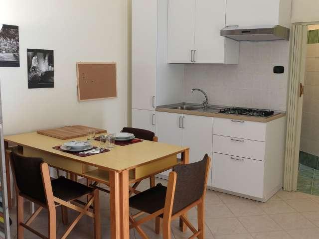 Appartamento con 1 camera da letto in affitto a San Lorenzo, Napoli