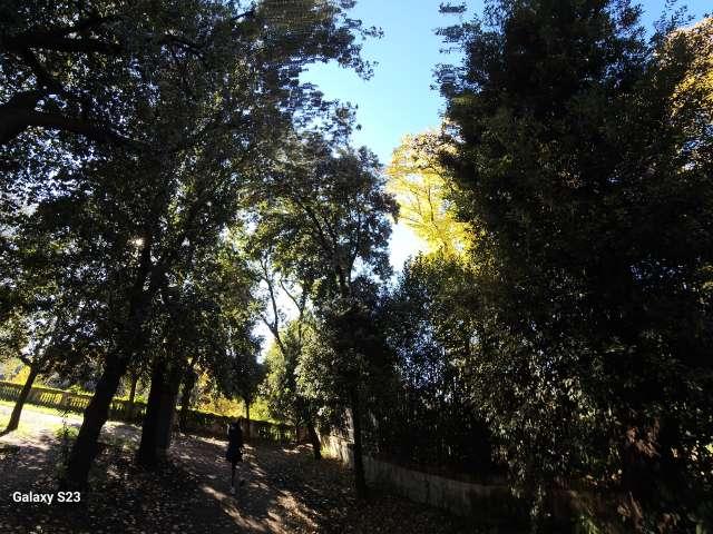 Appartamento con 1 camera da letto in affitto nel Rione Pigna, Roma