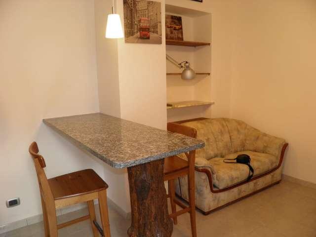 Appartamento con 2 camere da letto in affitto ad Aurora, Torino